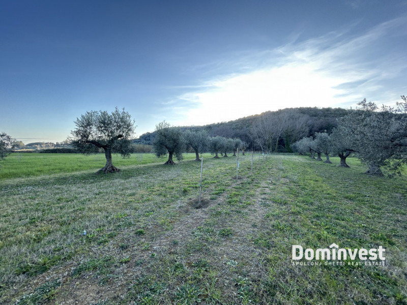 Immagine 8 di Rustico / casale in vendita  in Strada Provinciale 75 Pescia Fiorentina Chiarone a Capalbio