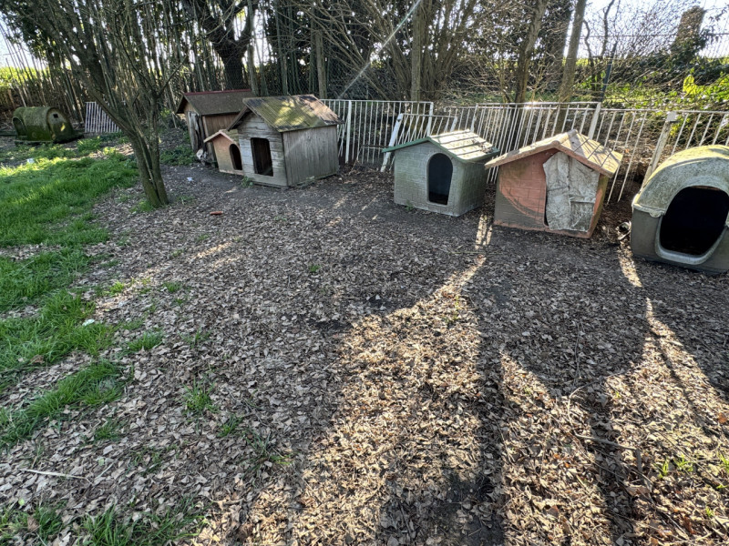 Immagine 17 di Casa indipendente in vendita  in Via Fossa Maestra 8 a Villa Bartolomea