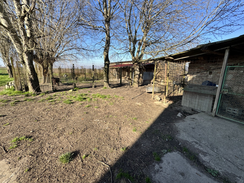 Immagine 19 di Casa indipendente in vendita  in Via Fossa Maestra 8 a Villa Bartolomea