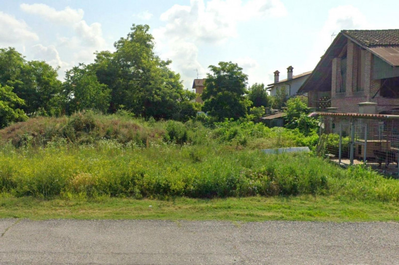 Immagine 7 di Terreno in vendita  in Via Vigna Grande, N. snc a Pieve Porto Morone