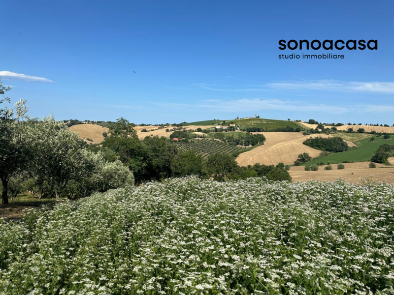 Immagine 5 di Terreno in vendita  in Viale E. Paci a Trecastelli