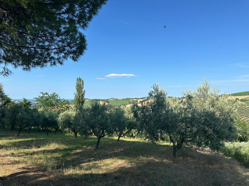 Immagine 23 di Terreno in vendita  in Viale E. Paci a Trecastelli