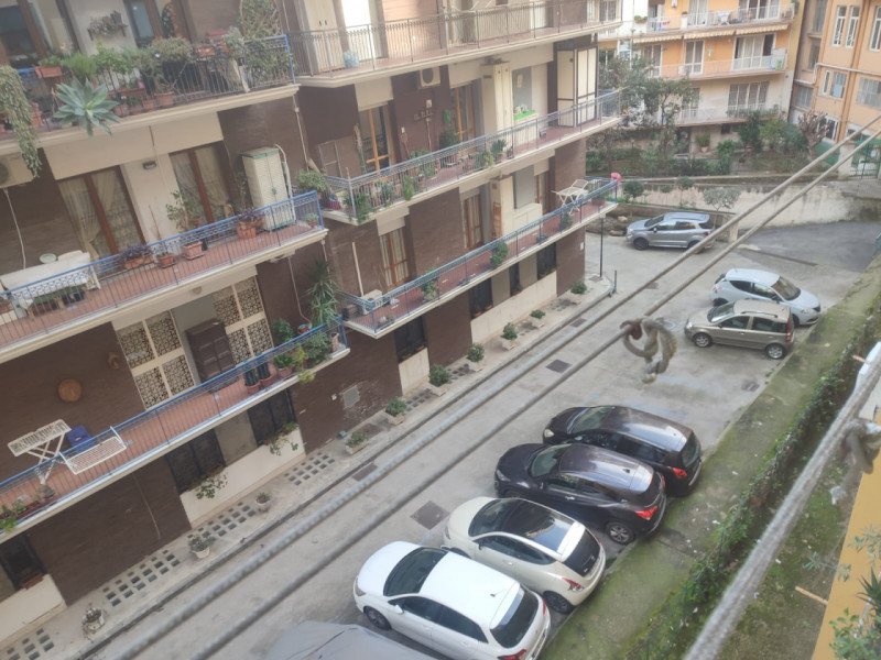 Foto annuncio 21