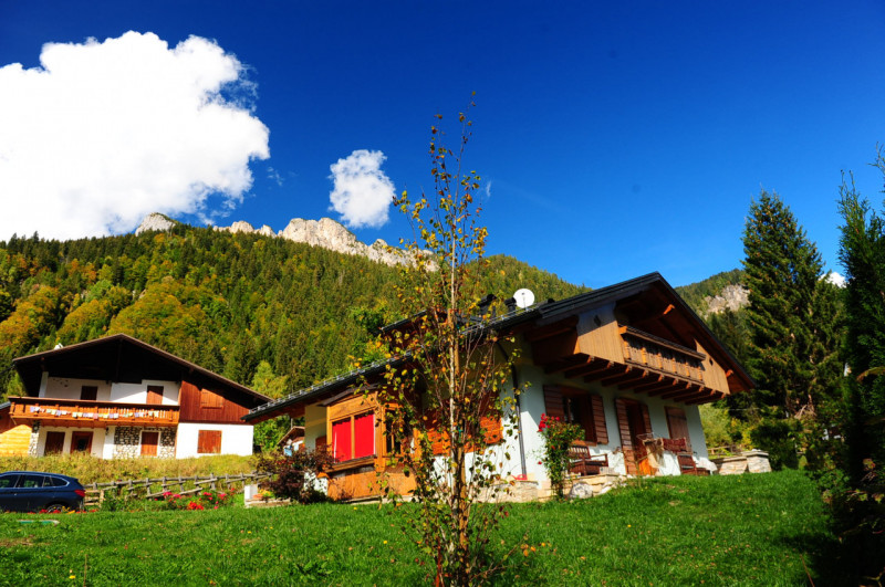 Immagine 3 di Villa in vendita  in Via Valle Ansiei,sn a Auronzo Di Cadore