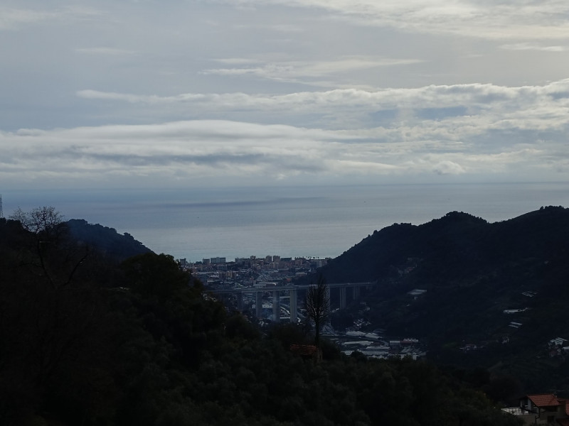 Immagine 15 di Villa in vendita  in Vallebona a Vallebona