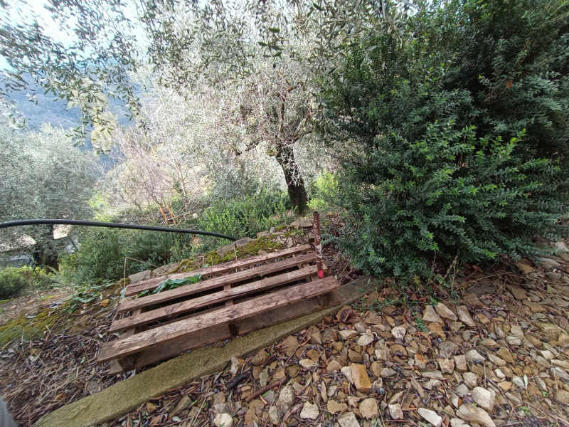 Immagine 25 di Villa in vendita  in Vallebona a Vallebona