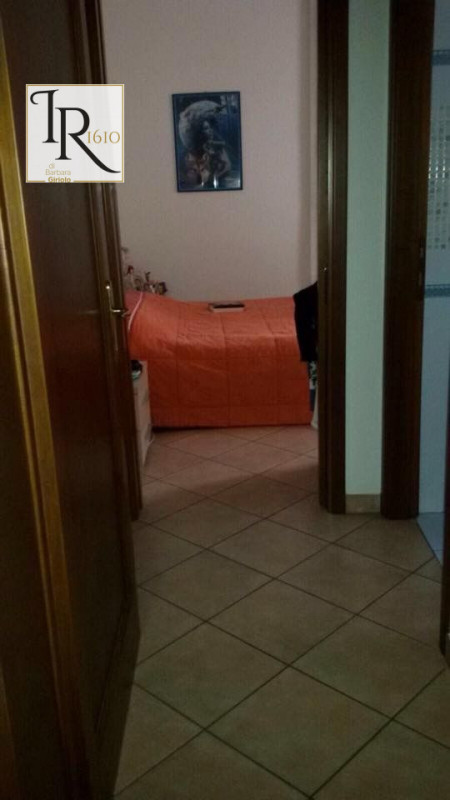 Immagine 3 di Appartamento in vendita  a Badia Polesine