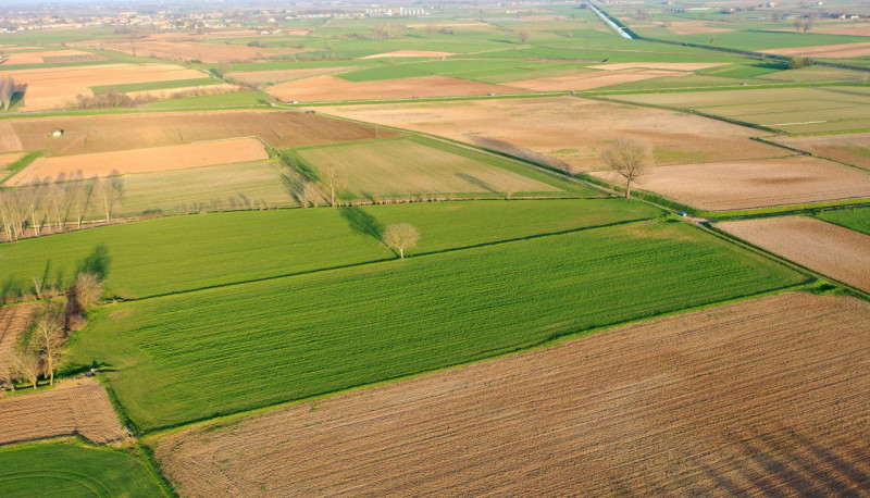 Immagine 1 di Terreno in vendita  in Strada Castellana a Bozzolo