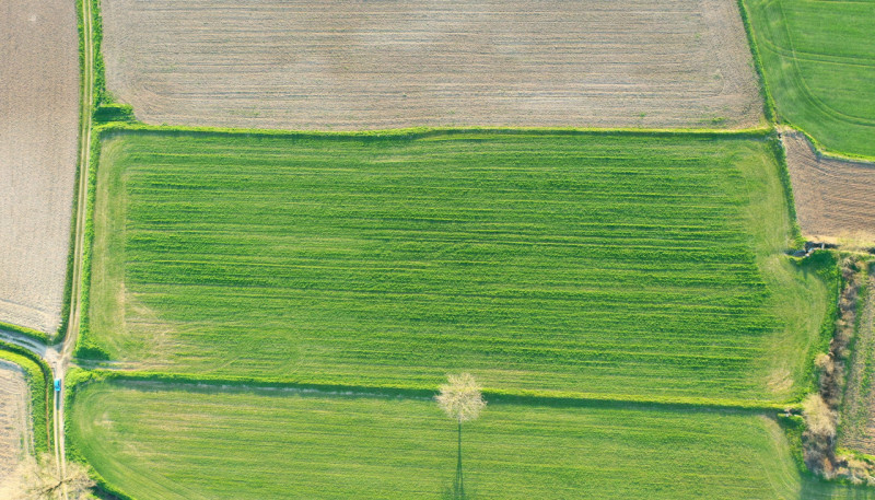 Immagine 3 di Terreno in vendita  in Strada Castellana a Bozzolo