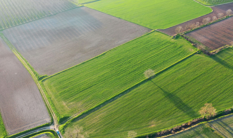 Immagine 4 di Terreno in vendita  in Strada Castellana a Bozzolo