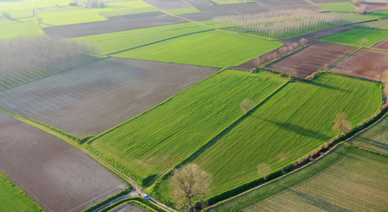 Immagine 5 di Terreno in vendita  in Strada Castellana a Bozzolo