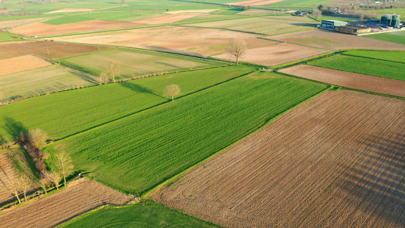 Immagine 6 di Terreno in vendita  in Strada Castellana a Bozzolo