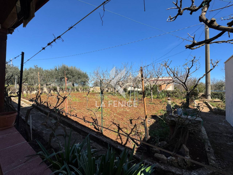 Immagine 6 di Rustico / casale in vendita  in SP62 a Martina Franca