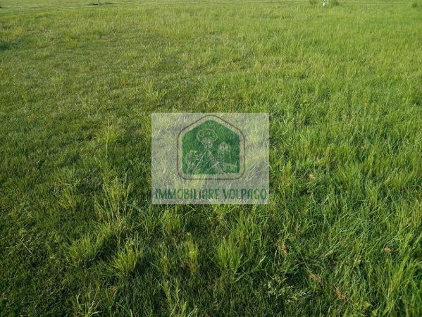 Immagine 8 di Multiproprietà in vendita  in ponzano veneto a Ponzano Veneto