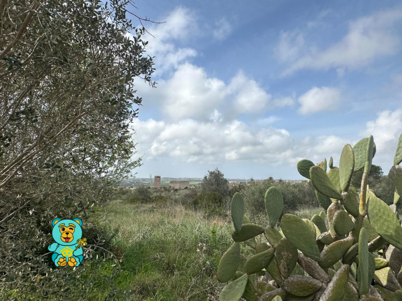 Immagine 6 di Terreno in vendita  in località Rischiazzi a Parabita