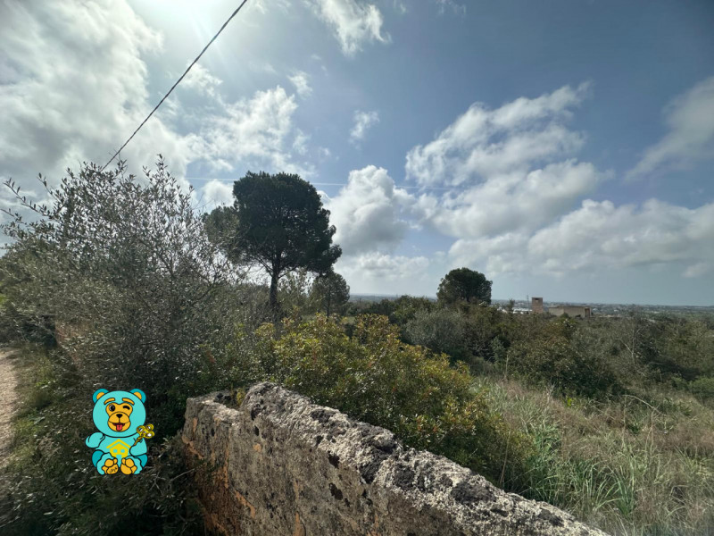 Immagine 8 di Terreno in vendita  in località Rischiazzi a Parabita