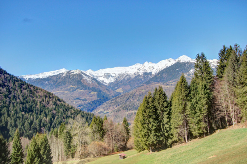 Immagine 1 di Rustico / casale in vendita  in Località Dasone a Sella Giudicarie