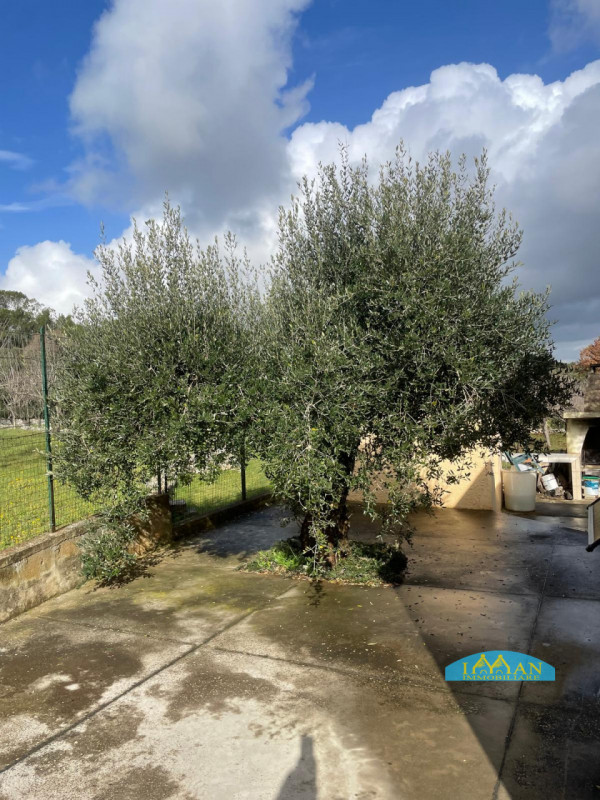 Immagine 29 di Villa in vendita  in Contrada Foggia Sant'Anna a Ceglie Messapico