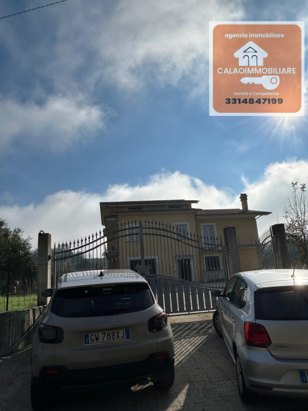 Foto annuncio 7