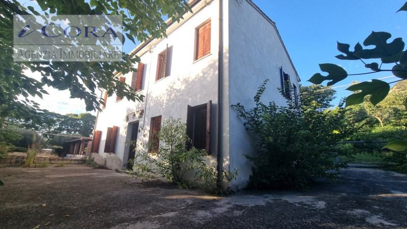 Foto annuncio 5