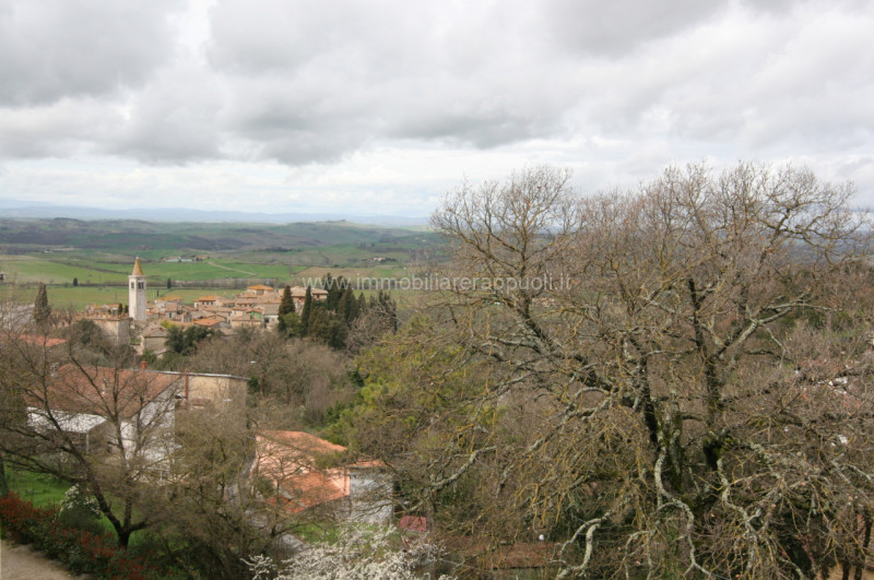 Foto annuncio 25