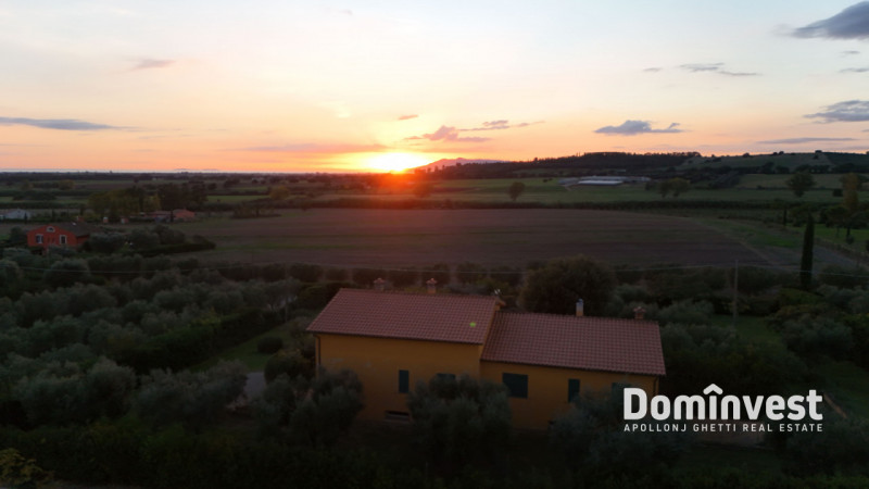 Immagine 15 di Villa in affitto  in Poggio Cavalluciaro a Montalto Di Castro