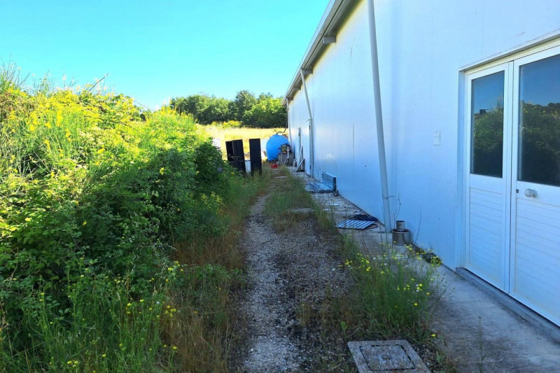 Immagine 8 di Capannone industriale in vendita  in San Terenziano, N. Snc a Gualdo Cattaneo