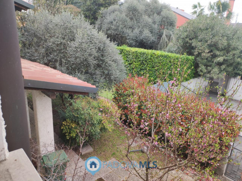 Immagine 3 di Casa bifamiliare in vendita  in Via Friuli a Selvazzano Dentro