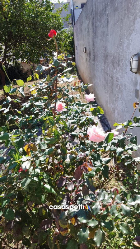 Immagine 61 di Villa in vendita  in Via Montanara 68 a Sava