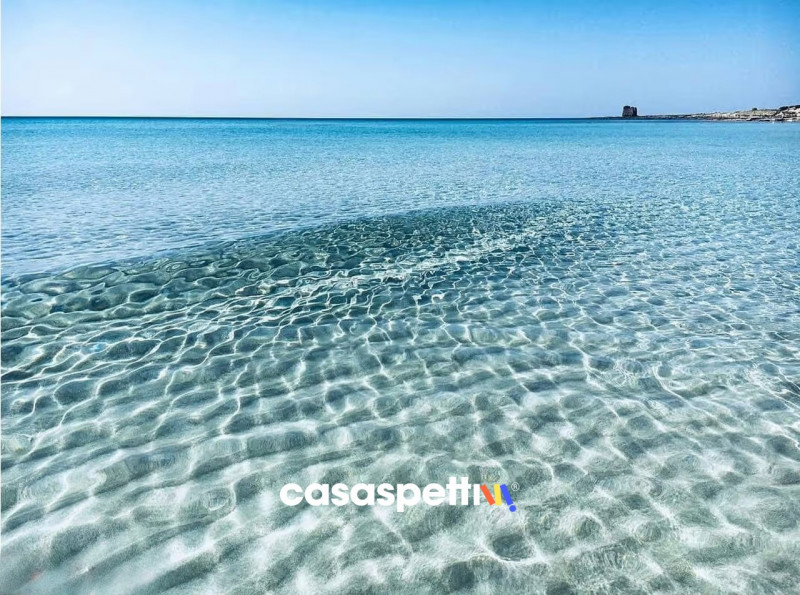 Immagine 65 di Villa in vendita  in Via Montanara 68 a Sava