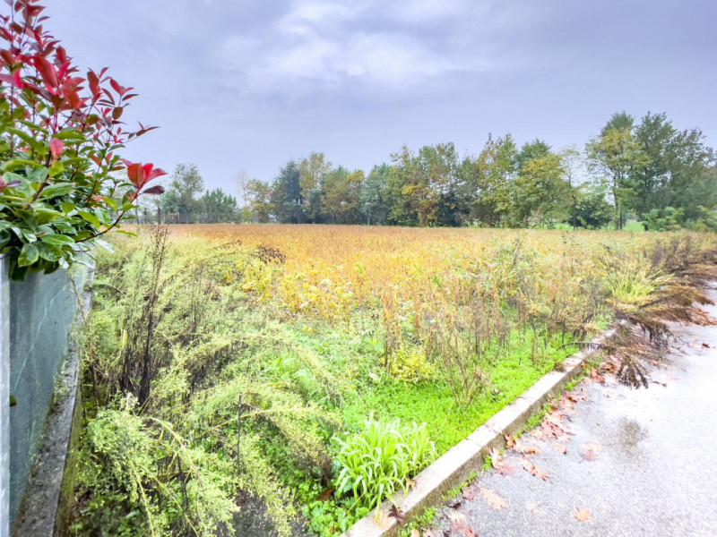 Immagine 4 di Casa indipendente in vendita  a Resana