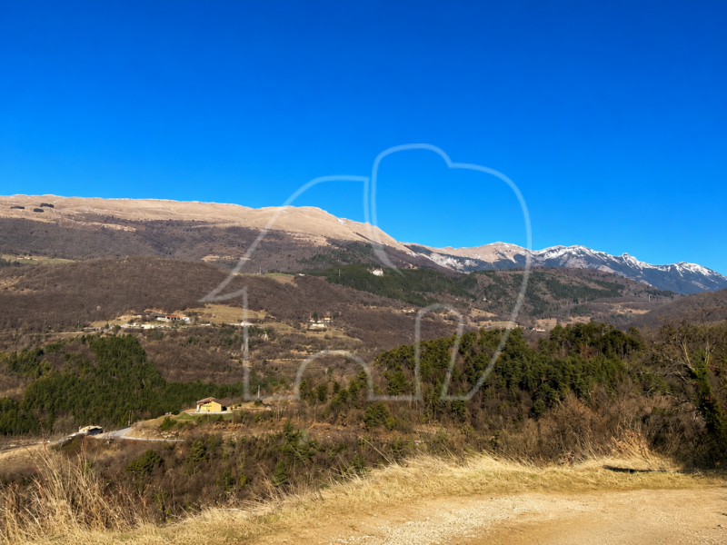 Foto annuncio 4