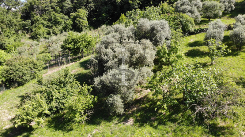 Immagine 1 di Terreno in vendita  in Via Salarola, 48 a Marostica