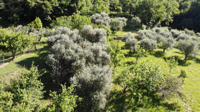 Immagine 2 di Terreno in vendita  in Via Salarola, 48 a Marostica
