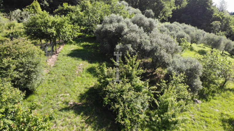 Immagine 3 di Terreno in vendita  in Via Salarola, 48 a Marostica