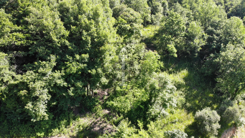 Immagine 4 di Terreno in vendita  in Via Salarola, 48 a Marostica