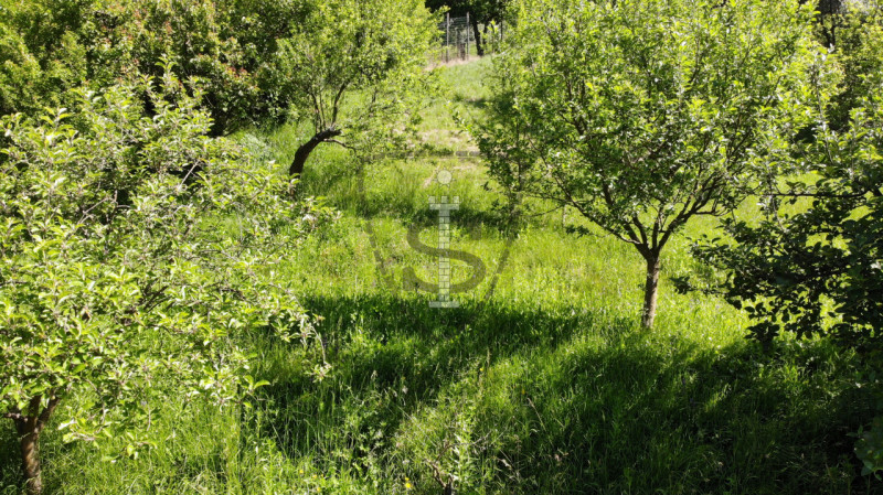 Immagine 6 di Terreno in vendita  in Via Salarola, 48 a Marostica