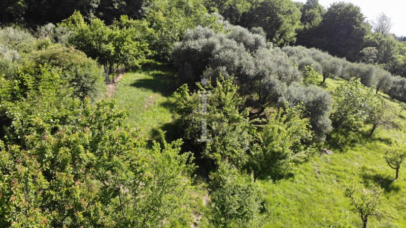 Immagine 7 di Terreno in vendita  in Via Salarola, 48 a Marostica