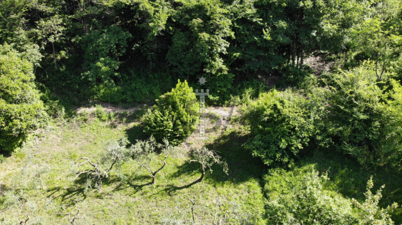 Immagine 8 di Terreno in vendita  in Via Salarola, 48 a Marostica