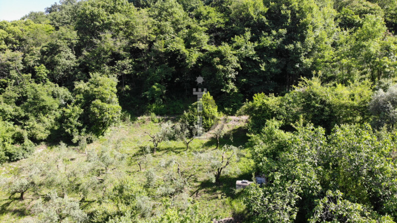 Immagine 9 di Terreno in vendita  in Via Salarola, 48 a Marostica