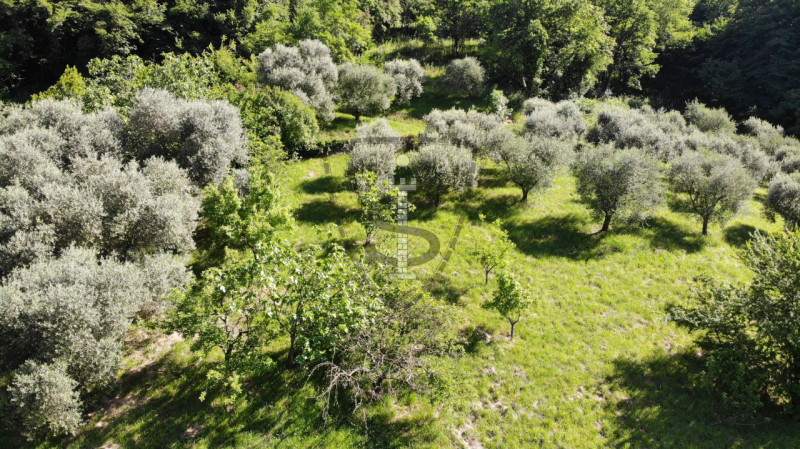 Immagine 10 di Terreno in vendita  in Via Salarola, 48 a Marostica