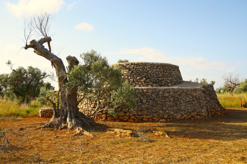 Immagine 1 di Terreno in vendita  in Strada Vicinale Rischiazzi a Parabita