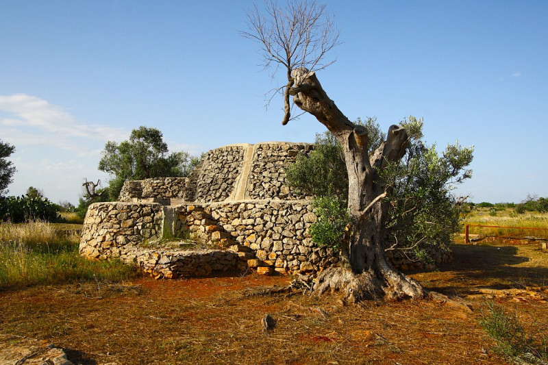 Immagine 2 di Terreno in vendita  in Strada Vicinale Rischiazzi a Parabita
