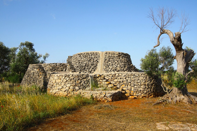 Immagine 3 di Terreno in vendita  in Strada Vicinale Rischiazzi a Parabita