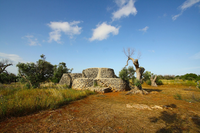 Immagine 4 di Terreno in vendita  in Strada Vicinale Rischiazzi a Parabita