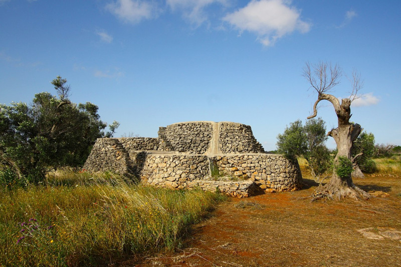Immagine 5 di Terreno in vendita  in Strada Vicinale Rischiazzi a Parabita
