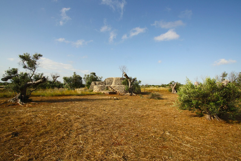 Immagine 6 di Terreno in vendita  in Strada Vicinale Rischiazzi a Parabita