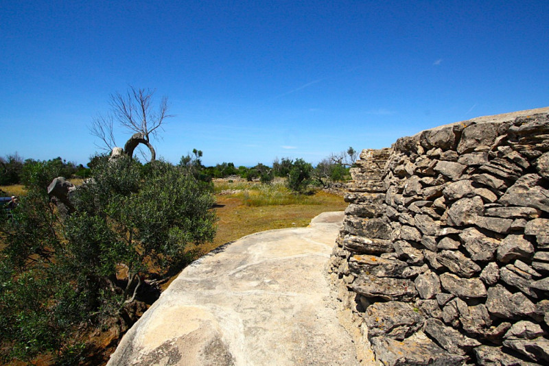 Immagine 12 di Terreno in vendita  in Strada Vicinale Rischiazzi a Parabita
