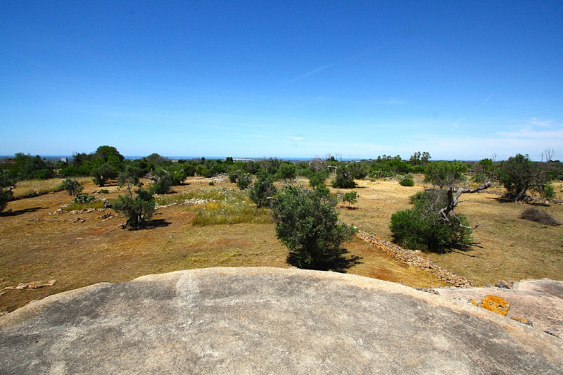 Immagine 13 di Terreno in vendita  in Strada Vicinale Rischiazzi a Parabita