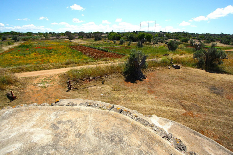 Immagine 14 di Terreno in vendita  in Strada Vicinale Rischiazzi a Parabita